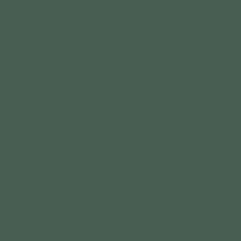 Bridge Grey (N44)