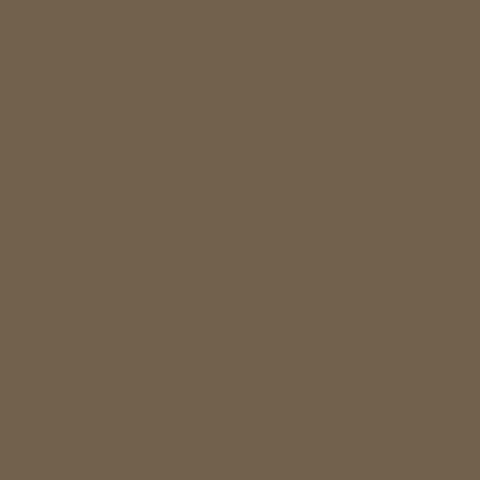 Mushroom (Y65)