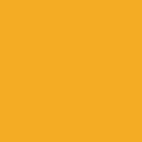 Sunflower (Y65)